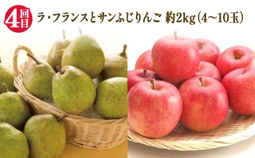 【2026年 先行予約】4回定期便 幸せを呼ぶ人気フルーツ6種便 さくらんぼ 桃 シャインマスカット ラ・フランス りんご 果物 くだもの 山形県 中山町 F4A-1017