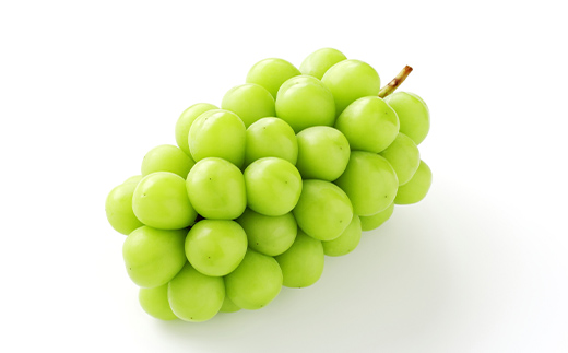  2026年先行予約 【定期便 5回】 フルーツ食べ尽し定期便A 桃 白桃 黄桃 すもも 秋姫 シャインマスカット ぶどう ラ・フランス 梨 洋梨 りんご リンゴジュース 果物 山形県 中山町 F4A-0442