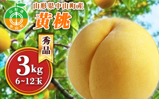 【2026年先行予約】山形県中山町産黄桃 品種おまかせ（黄金桃、スイート光黄、黄ららの極み、黄貴妃 他）秀品 3kg 期間限定 数量限定 山形県産 もも モモ フルーツ 果物 F4A-0045