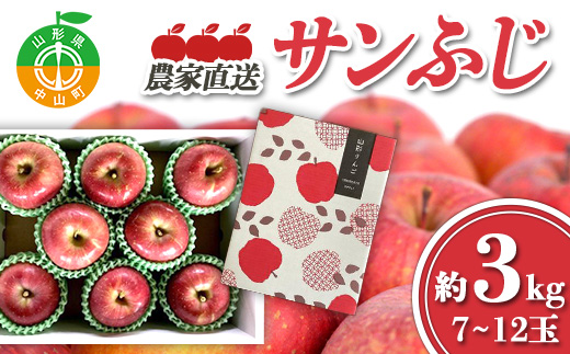 ≪2025年先行予約≫ 農家直送 山形県中山町産 サンふじりんご 約3kg（7~12玉） 2025年12月中旬より発送 数量限定 渡辺ファーム 渡辺ファーム 山形県産 リンゴ 林檎 フルーツ 果物 くだもの F4A-0078