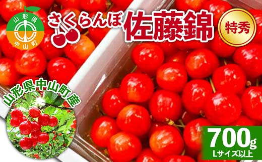 《2026年先行予約》山形県中山町産さくらんぼ《佐藤錦特秀品》 700g Lサイズ以上 山形県産 サクランボ フルーツ 果物 F4A-0106