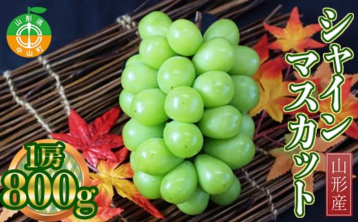 《2026年先行予約》山形県産 シャインマスカット 約800g 1房 2026年9月下旬から順次発送 ぶどう ブドウ 葡萄 マスカット 大粒 種なし 高級 くだもの 果物 フルーツ 秋果実 贈り物 贈答 ギフト プレゼント 産地直送 山形県 中山町 F4A-0243
