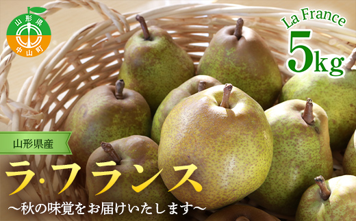 【ふるさと納税】山形県産ラ・フランス 特秀5kg(13～18玉) 11月上旬から発送開始 果物 くだもの フルーツ ラフランス 洋梨 西洋梨 洋ナシ洋なし 秋果実 F4A-0253