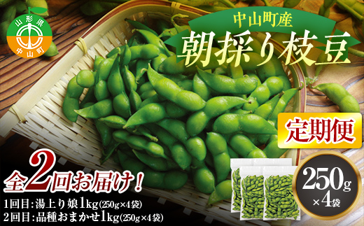 《2025年 先行予約》山形県中山町産 朝採り枝豆 定期便2回 山形県産 おつまみ 朝どれ 新鮮 連続 F4A-0307