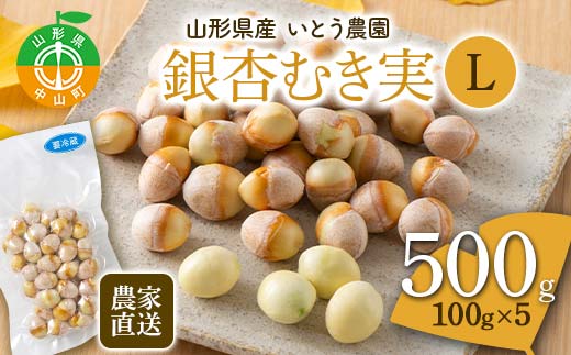 2022限定品NAMIKI、銀杏 農家直送銀杏むき実 Lサイズ 500g（100g×5）山形県産 ぎんなん