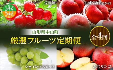 《先行予約》山形県中山町 厳選フルーツ定期便 全4回【2025年6月開始】 佐藤錦 白桃 シャインマスカット ふじりんご さくらんぼ モモ もも ブドウ ぶどう リンゴ 山形県産 フルーツ 果物 くだもの 連続 F4A-0367