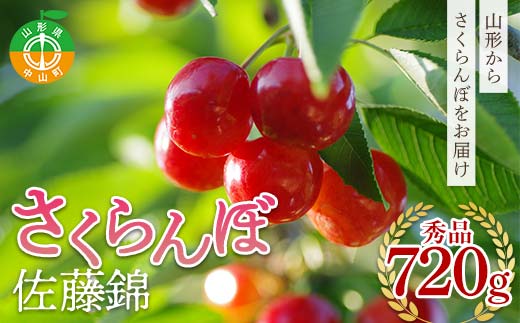 《先行予約》2026年度発送 山形県産 さくらんぼ 佐藤錦 秀品 720g F4A-0404