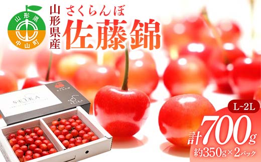 《2026年先行予約》 山形県産 さくらんぼ 佐藤錦 約350g×2パック（L～2Lサイズ） 特秀 果物 フルーツ 山形県 中山町 F4A-0415