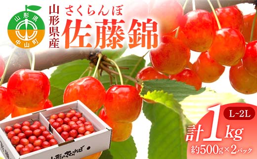 《2026年先行予約》 山形県産 さくらんぼ 佐藤錦 約500g×2パック（L～2Lサイズ） 特秀 果物 フルーツ 山形県 中山町 F4A-0416