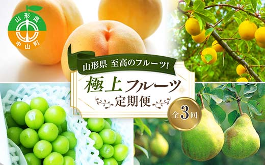 《2026年8月発送開始》山形県 至高のフルーツ！山形県極上フルーツ定期便 全3回 F4A-0457
