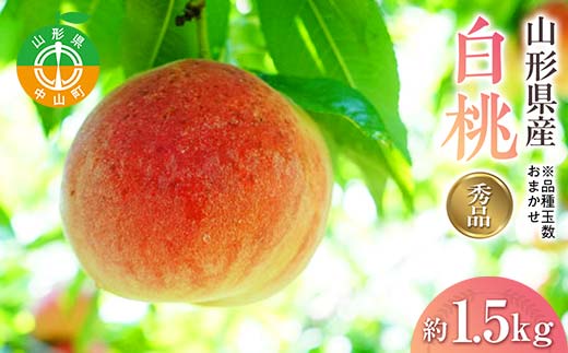 《2026年先行予約》山形県産白桃※品種玉数おまかせ 秀品 約1.5kg F4A-0459