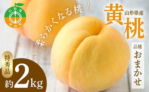 《2026年先行予約》山形県産 黄桃 品種おまかせ 特秀品 柔らかくなる桃 約2kg（黄金桃、スイート光黄、黄ららの極み、黄貴妃 他） F4A-0468