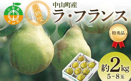 2026年産 先行受付 中山町産 高糖度 ラ・フランス 約2kg 特秀品 5～8玉 果物 フルーツ 山形県 中山町 F4A-0472