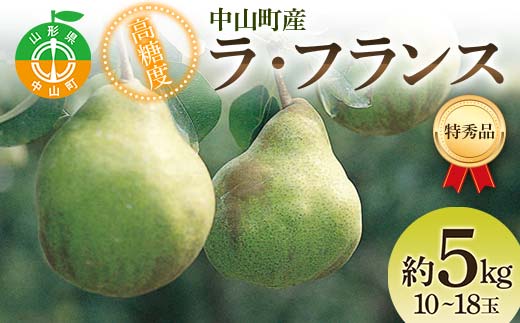 2026年産 先行受付 中山町産 高糖度 ラ・フランス 約5kg 特秀品 10～18玉 果物 フルーツ 山形県 中山町 F4A-0473