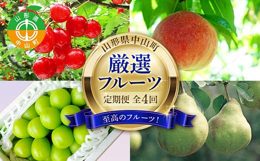 2026年6月発送開始 先行受付 山形県 至高のフルーツ！ 山形県中山町厳選フルーツ定期便 全4回 さくらんぼ 桃 シャインマスカット ラ・フランス 山形県 中山町 F4A-0477