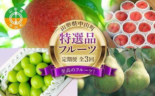 2025年8月発送開始 先行受付 山形県 至高のフルーツ！ 山形県中山町特選品フルーツ定期便 全3回 桃 シャインマスカット ラ・フランス 山形県 中山町 F4A-0478