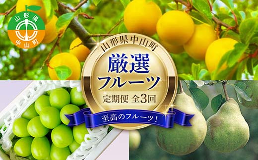 2025年8月発送開始 先行受付 山形県 至高のフルーツ！ 山形県中山町厳選フルーツ定期便 全3回 桃 シャインマスカット ラ・フランス 山形県 中山町 F4A-0479