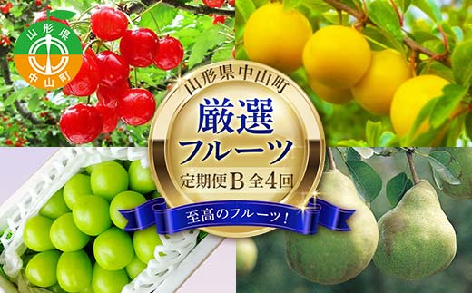 2026年8月発送開始 先行受付 山形県 至高のフルーツ！ 山形県中山町厳選フルーツ定期便B 全4回 さくらんぼ 桃 シャインマスカット ラ・フランス 山形県 中山町 F4A-0480