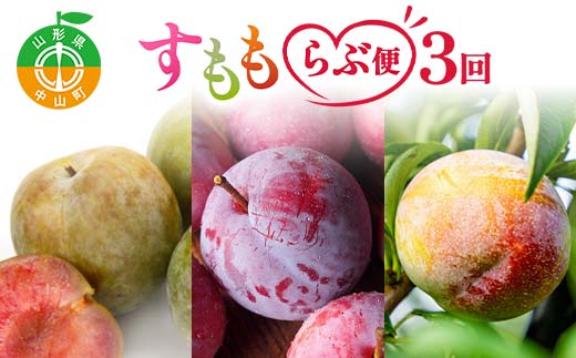 【2025年 先行予約】3回定期便 すもも らぶ便 果物 くだもの 山形県 中山町 F4A-0484