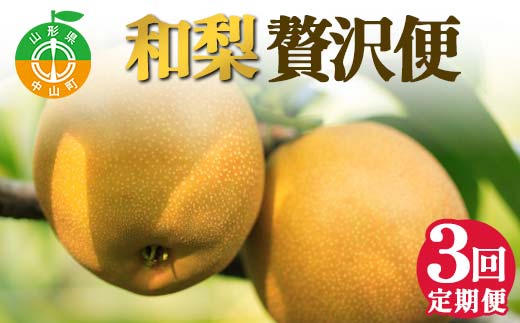 2026年先行受付 【定期便3回】和梨贅沢便 梨 なし 山形県 中山町 F4A-0491
