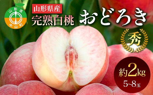 山形県産 完熟白桃おどろき 約2kg 秀 桃 もも フルーツ果物 くだもの 山形県 中山町 F4A-0919