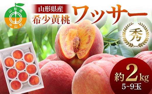 山形県産 希少黄桃ワッサー 約2kg 5～9玉 秀 桃 もも フルーツ 黄色 F4A-0922