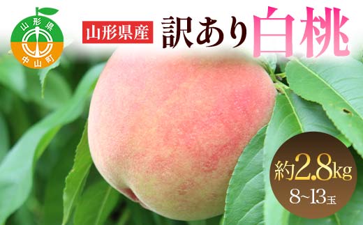 山形県産 訳あり白桃 約2.8kg 8～13玉 桃 もも フルーツ 家庭用 F4A-0924