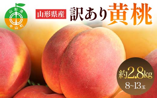 山形県産 訳あり黄桃 約2.8kg 8～13玉 桃 もも フルーツ 黄色 家庭用 F4A-0925
