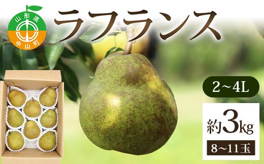 ラフランス約3kg 2～4L 8～11玉 らふらんす 果物 くだもの フルーツ 山形県産 F4A-0937