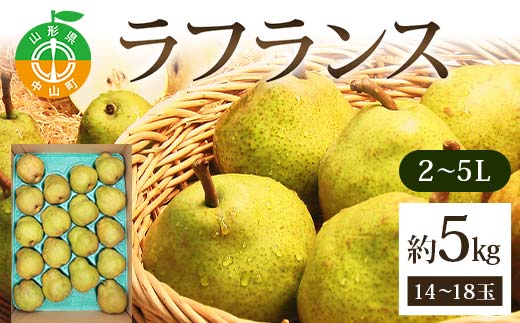 ラフランス約5kg 2～5L 14～18玉 らふらんす 果物 くだもの フルーツ 山形県産 F4A-0938