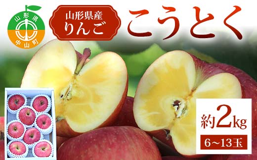 こうとく約2kg 6～13玉 こうとく 林檎 リンゴ 果物 くだもの フルーツ 山形県産 F4A-0940