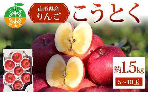 こうとく約1.5kg 5～10玉 こうとく 林檎 リンゴ 果物 くだもの フルーツ 山形県産 F4A-0941