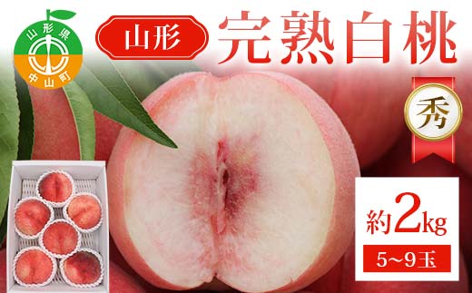山形完熟白桃 約2kg 5～9玉 秀 完熟白桃 果物 くだもの 桃 もも フルーツ 山形県産 F4A-0943