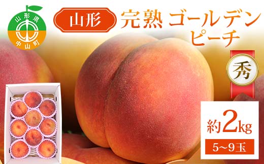 山形完熟ゴールデンピーチ 約2kg 5～9玉秀 ゴールデンピーチ 果物 くだもの 桃 もも フルーツ 黄桃 山形県産 F4A-0944