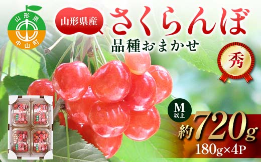 【先行受付】山形県産 さくらんぼ約180g×4パック 品種おまかせ Mサイズ以上 秀品 (佐藤錦・紅秀峰・大将錦) 果物 くだもの フルーツ 夏果物 サクランボ F4A-0945