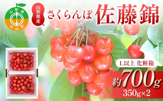 【先行受付】さくらんぼ佐藤錦 約700g（約350g×2P） L以上化粧箱 果物 くだもの フルーツ 夏果物 サクランボ F4A-0947