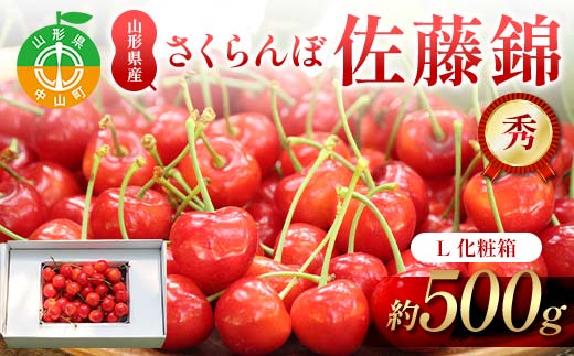 【先行受付】さくらんぼ佐藤錦 約500g L 秀化粧箱 果物 くだもの フルーツ 夏果物 サクランボ F4A-0948