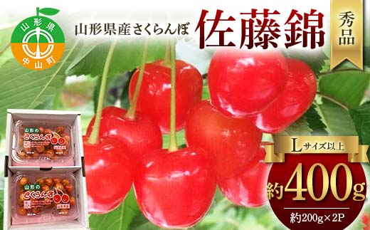 令和8年産【先行受付】山形県産さくらんぼ＜佐藤錦＞秀品 約400g(200g×2P) Lサイズ以上 期間限定 数量限定 山形県産 サクランボ フルーツ 果物 くだもの 贈答 F4A-0963