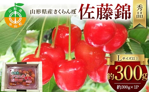 令和8年産【先行受付】山形県産さくらんぼ＜佐藤錦＞秀品 約300g×1P Lサイズ以上 期間限定 数量限定 山形県産 サクランボ フルーツ 果物 くだもの 贈答 F4A-0964