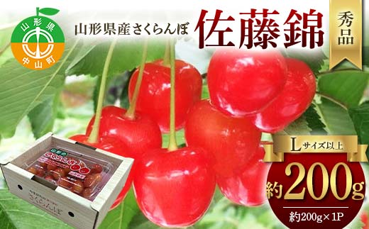 令和8年産【先行受付】山形県産さくらんぼ＜佐藤錦＞秀品 約200g×1P Lサイズ以上 期間限定 数量限定 山形県産 サクランボ フルーツ 果物 くだもの 贈答 F4A-0965