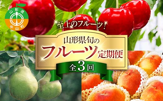 令和8年6月発送開始 山形県 至上のフルーツ！ 山形県旬のフルーツ定期便 全3回 紅秀峰 白桃 ラ・フランス 期間限定 数量限定 山形県産 サクランボ 桃 梨 フルーツ 果物 くだもの 贈答 F4A-0966