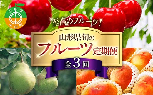 令和8年6月発送開始 山形県 至高のフルーツ！ 山形県旬のフルーツ定期便 全3回 紅秀峰 白桃 ラフランス 期間限定 数量限定 山形県産 サクランボ 桃 梨 フルーツ 果物 くだもの 贈答 F4A-0967