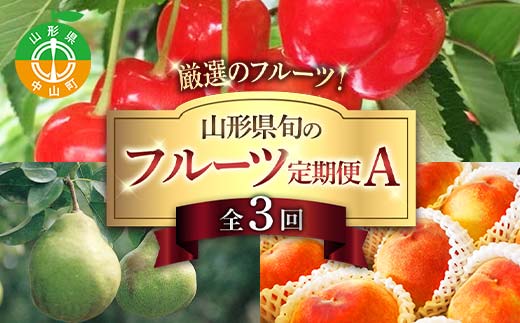 令和8年6月発送開始 山形県 厳選のフルーツ！ 山形県旬のフルーツ定期便Ａ 全3回 佐藤錦 白桃 ラフランス 期間限定 数量限定 山形県産 サクランボ 桃 梨 フルーツ 果物 くだもの 贈答 F4A-0968