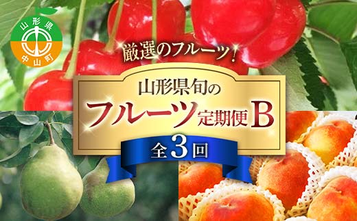 令和8年6月発送開始 山形県 厳選のフルーツ！ 山形県旬のフルーツ定期便Ｂ全3回 佐藤錦 白桃 ラフランス 期間限定 数量限定 山形県産 サクランボ 桃 梨 フルーツ 果物 くだもの 贈答 F4A-0969