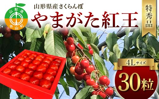 令和8年産【先行受付】山形県産さくらんぼ＜やまがた紅王＞特秀品30粒 プレミアム 4L 期間限定 数量限定 山形県産 サクランボ フルーツ 果物 くだもの 贈答 F4A-0970