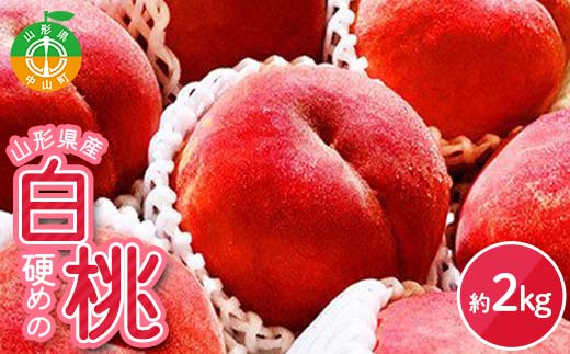 《2026年産 先行受付》山形県産 硬めの白桃 約2kg 品種おまかせ 果物 くだもの 桃 もも フルーツ 白桃 山形県産 F4A-0971