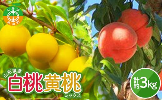 《2026年産 先行受付》山形県産　白桃・黄桃ミックス 秀品 約3kg 柔らかくなる桃 品種・玉数 おまかせ果物 くだもの 桃 もも フルーツ 白桃 山形県産 F4A-0974