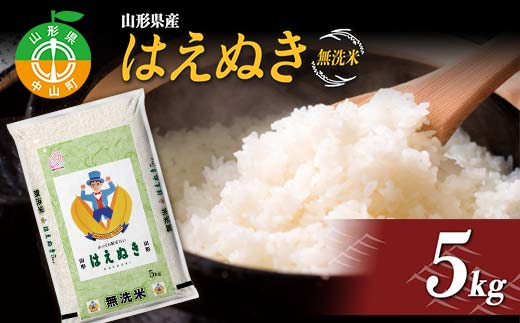 【令和7年度産】 山形県産　はえぬき無洗米 5kg ≪2025年10月より順次発送≫ ブランド米 こめ ご飯 ごはん 白米 エコ 節水 F4A-0981