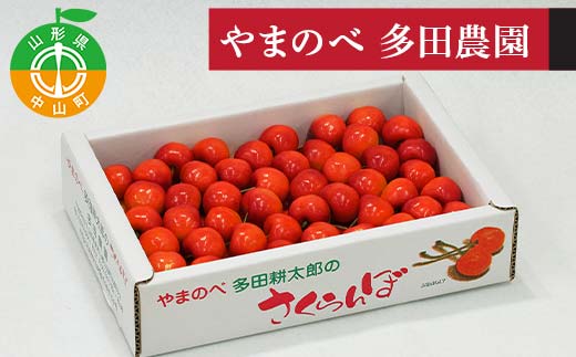 《先行予約》2026年 山形県産 紅秀峰 バラ詰700g やまのべ多田耕太郎のさくらんぼ F4A-0996
