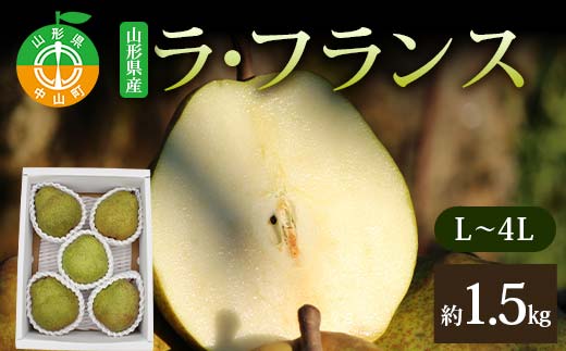 《2026年発送先行予約》山形県産ラ・フランス約1.5kg 約2kg L～4L らふらんす 果物 くだもの フルーツ 山形県産 F4A-1005